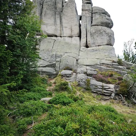 Apartamento Przy Stoku Z Ogrodem I Tarasem - Pod Karpatka