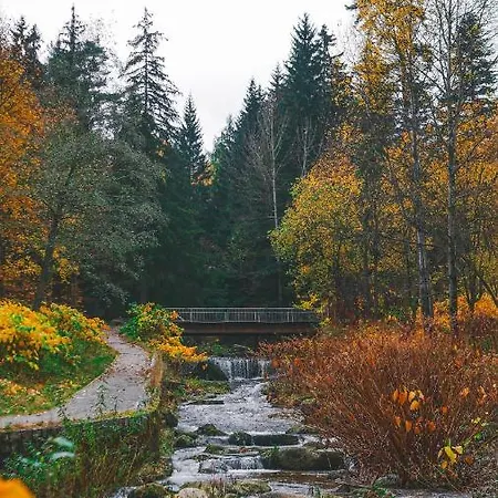 Apartamento Przy Stoku Z Ogrodem I Tarasem - Pod Karpatka