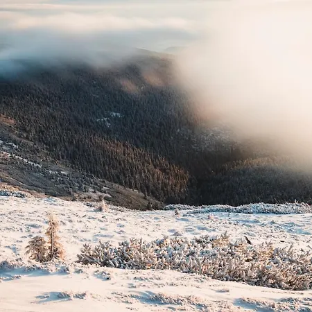 Przy Stoku Z Ogrodem I Tarasem - Pod Karpatka *