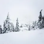 Apartamento Przy Stoku Z Ogrodem I Tarasem - Pod Karpatka