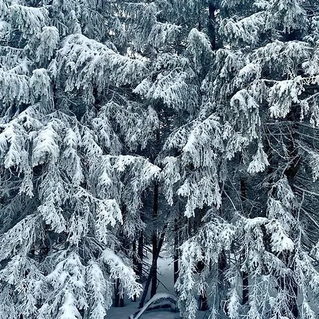 Lejlighed Przy Stoku Z Ogrodem I Tarasem - Pod Karpatka