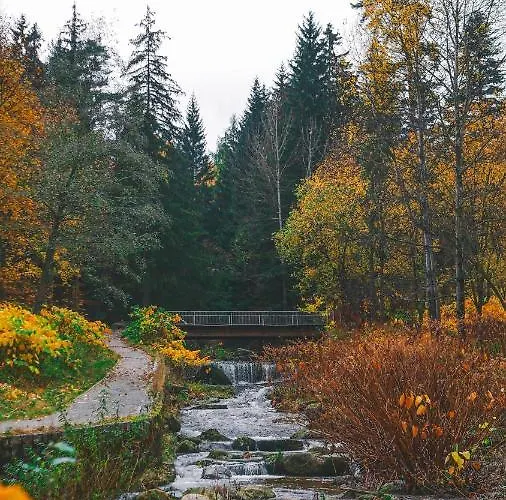 Apartamento Przy Stoku Z Ogrodem I Tarasem - Pod Karpatka
