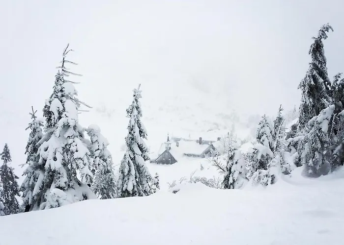 Apartamento Przy Stoku Z Ogrodem I Tarasem - Pod Karpatka