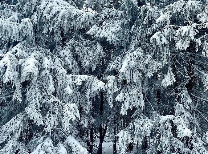 Apartamento Przy Stoku Z Ogrodem I Tarasem - Pod Karpatka